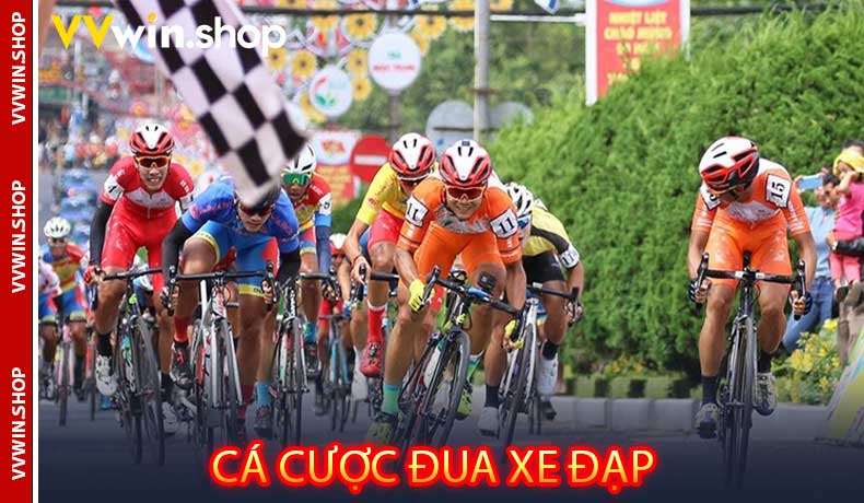 Cá cược đua xe đạp